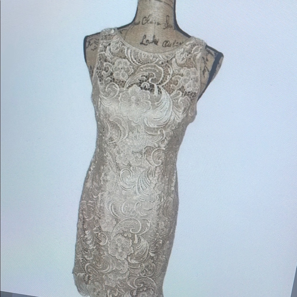 Elegant Cream Lace Midi Dress